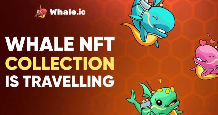 Whale.io to Bridge NFT Collection from TON Blockchain to Solana