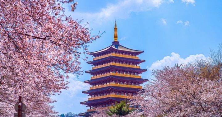 South Korea to Trial CBDC With 100,000 Users and 7 Banks