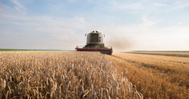 Tether Completes $615 Million Purchase of Latam Agricultural Giant Adecoagro