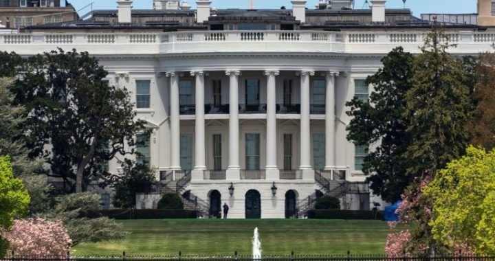 First-Ever White House Crypto Summit: Trump’s Crypto Czar to Discuss US Strategic Reserve