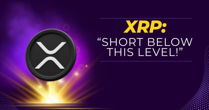 Interesting Ripple (XRP) Price Predictions: Watch Out