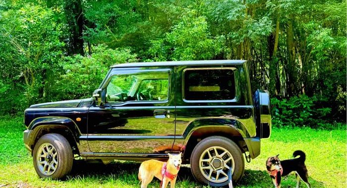 BREAKING: Doge Creator Atsuko Sato Announces First-Ever Doge Memorial Party – Global Pilgrimage for Fans?