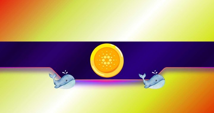 200,000,000 ADA: Will Cardano’s Price React to the Whales’ Selling Spree?