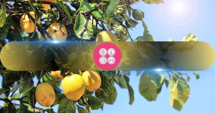 DeFiance Capital Founder Compares Altcoin Market to a ‘Lemon’s Market’