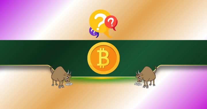 Bitcoin (BTC) Needs to Reclaim These Price Levels to Ignite Next Bull Run (Analyst)