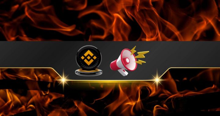Analyzing the Impact of BNB’s Latest Token Burn on Market Trends
