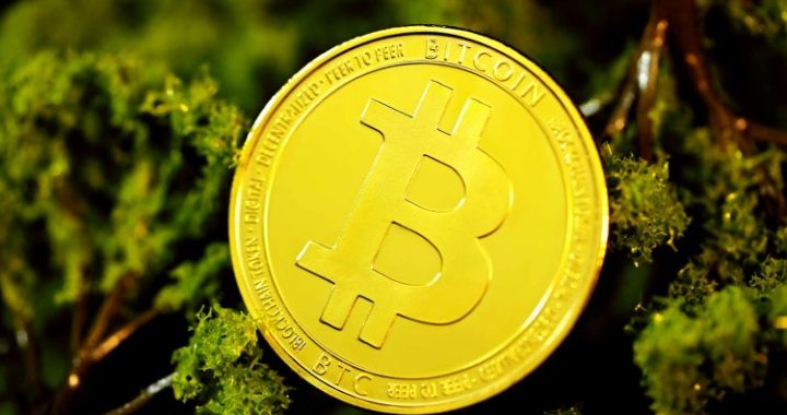 Bitcoin Price Crash: Crypto Analyst Reveals What Would Reject Current Bearish Hypothesis