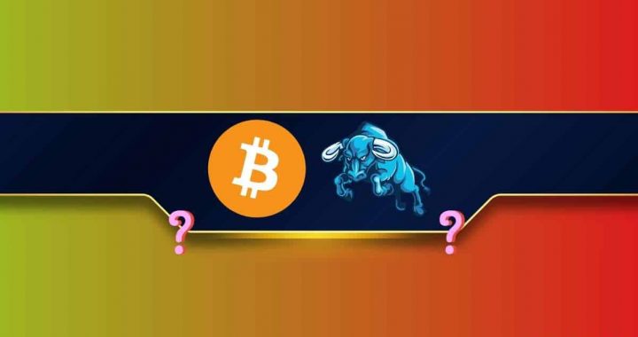 Is Bitcoin’s Bull Market Just Getting Started? This Crucial Metric Says So (Details)