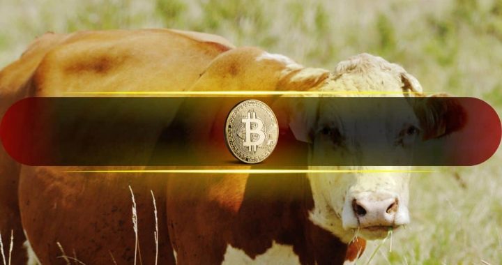 Capital Flows Turn Bullish for Bitcoin as Analysts Eye Targets Above $100K