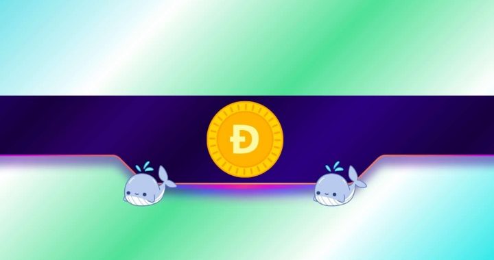 DOGE Price Moves as Dogecoin Whales Go on Buying Spree