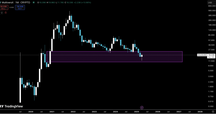 MultiverseX Crypto Hit With Insane 4X Volume Pump: Is it Bullish For EGLD Price?