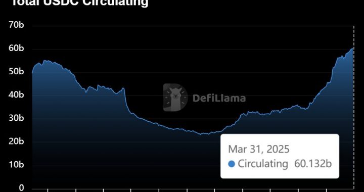 Circle IPO Could Be The Biggest Crypto Stock Launch of 2025: Everything to Know
