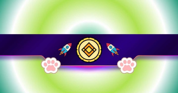 Cat-Themed Meme Coin Soars After Binance Boost – Here’s What Happened