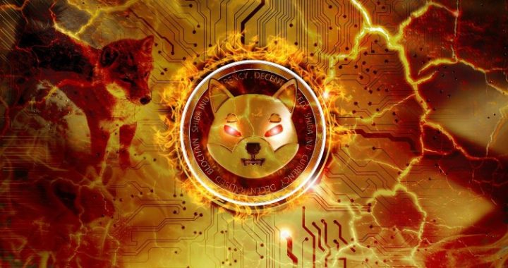 Finder’s Expert Predictions For Shiba Inu: How High Can The Price Go In 2025?