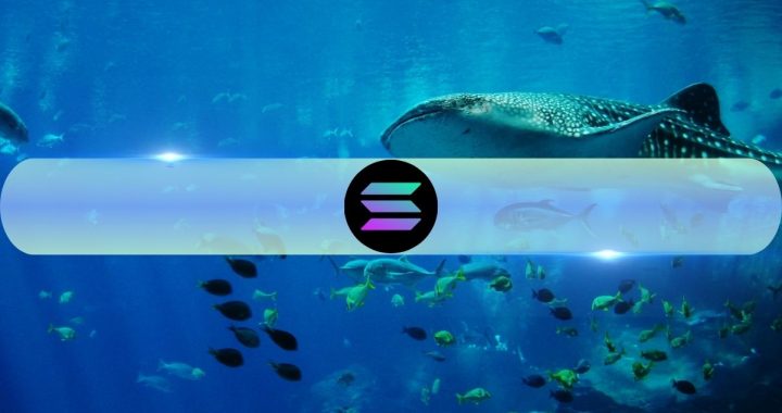 Solana Whales Dump SOL Amid Major Token Unlock 