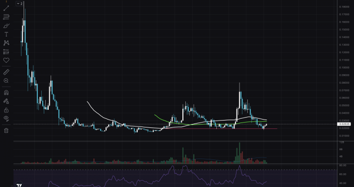 VET Crypto Advised by UFC Dana White: VeChain Price Touches Bottom