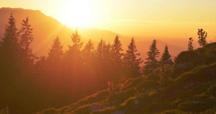 Could 1,000 XRP Buy You Happiness? This Analyst Thinks So