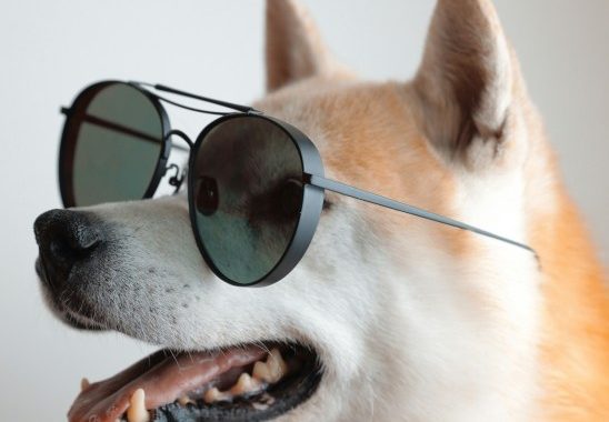 From Joke To Juggernaut: Dogecoin Value Revolution Gets Nod From Global Asset Giant