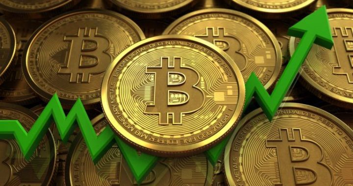 Bitcoin ETFs Extend Inflow Streak to Seven Days With $591 Million Boost