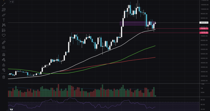 BTC USD Shoots High as Bitcoin Price Analysis Reveals New Technical Insights