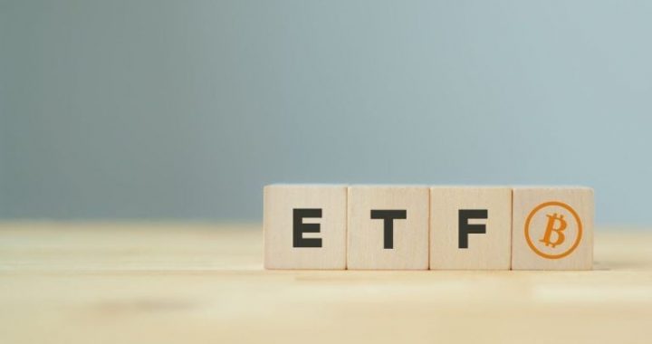 BTC Holds Firm at $95K as Bitcoin ETFs Gain Ground on Gold ETFs