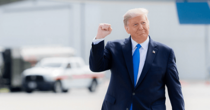 Bitcoin Blazes Past $82K as Wall Street Roars on Trump’s 90-Day Tariff Timeout