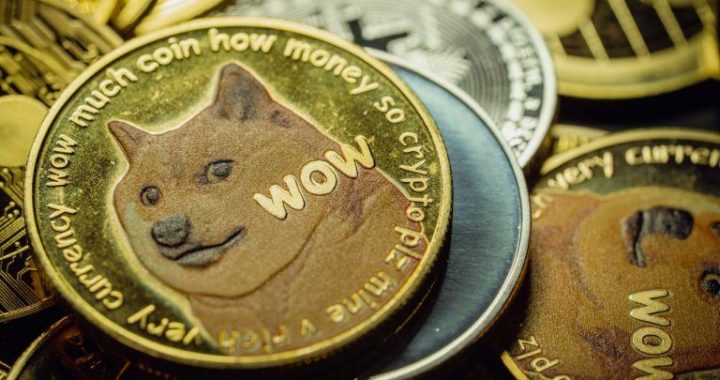 Elon Musk Clarifies No Plans for the Government to Use Dogecoin