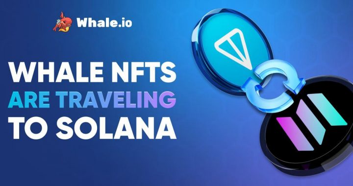 Whale NFT Bridge Goes Live: TON to Solana Migration Launches on Bridgemedaddy.com
