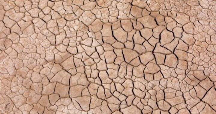 Ripple Deploys RLUSD in Kenya as Blockchain Aid Faces Real-World Drought Test