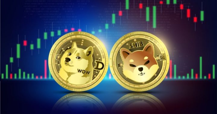 Why Did The Dogecoin And Shiba Inu Prices Surge Over 10%?