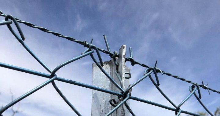 Chainlink Price Continues To Hover Around $12.5 — Levels To Watch
