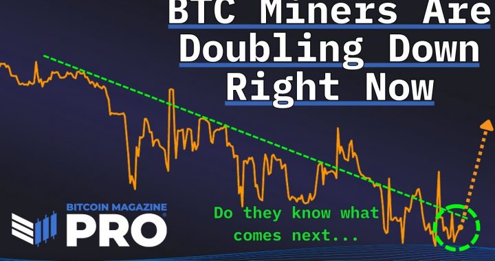 Bitcoin Miners Are Doubling Down