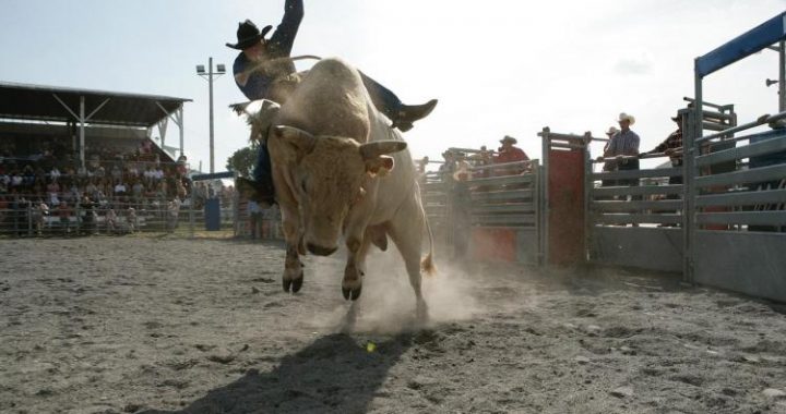 Is Bitcoin Bull Run Back? Daily RSI Shows Only Mild Bullish Momentum