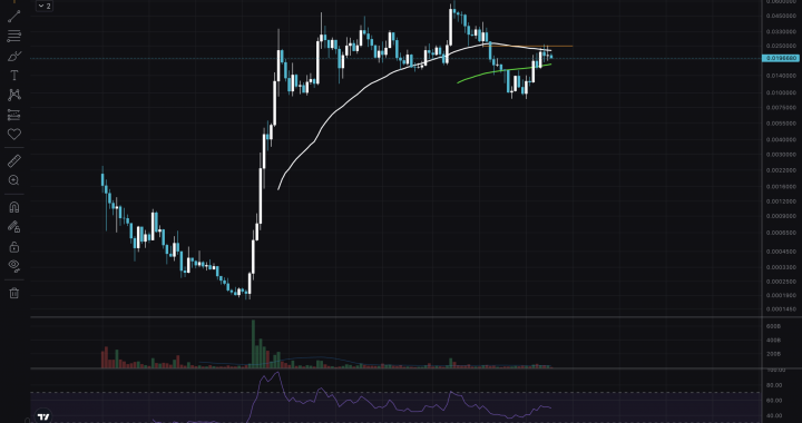 Is This The End of BONK? Technical Analysis Gives Warning Signs