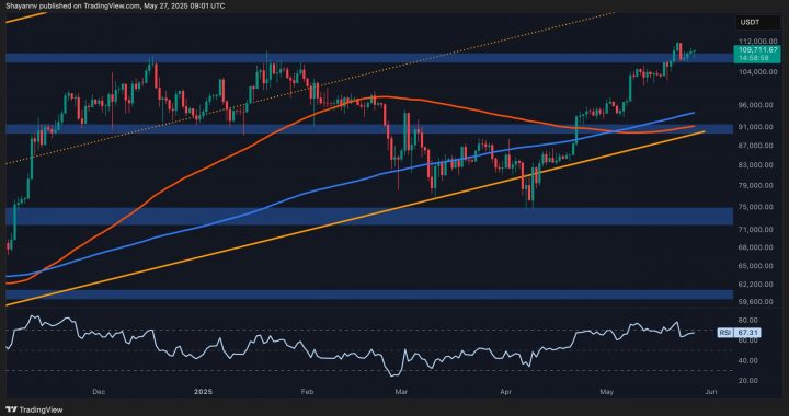 Bitcoin Price Analysis: is BTC About to Challenge $120K Next?
