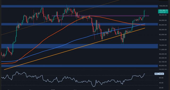 Bitcoin Price Analysis: Is New ATH Next for BTC After Surging Past $100K?