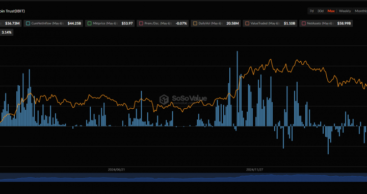 BlackRock is Still Buying Bitcoin: What Do They Know That We Don’t?