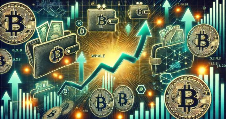 Bitcoin Whale Entry Prices Diverge Sharply – Confidence Builds At Higher Levels