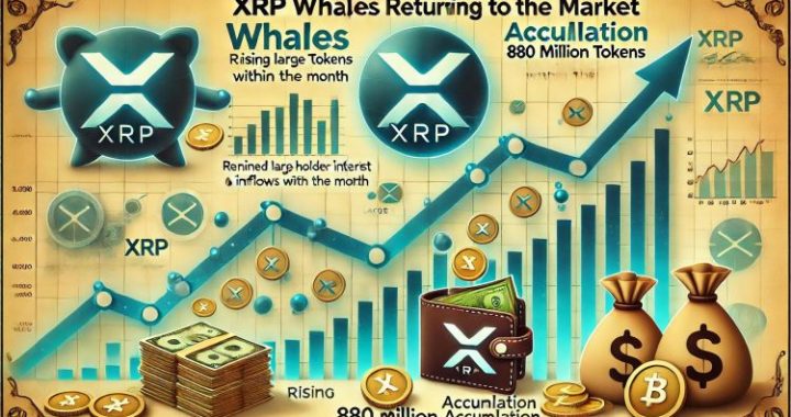 XRP Whales Are Back – 880 Million Tokens Accumulated This Month
