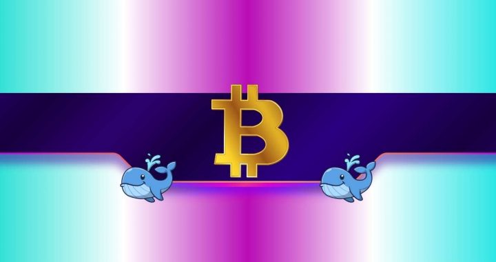 20,000 BTC Purchased in Just 2 Days by Whales: How Will Bitcoin’s Price React?