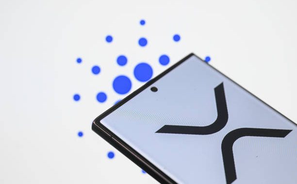 XRP Analyst Marks XDC For 3,350% Take-Off As Bullish Metrics Emerge