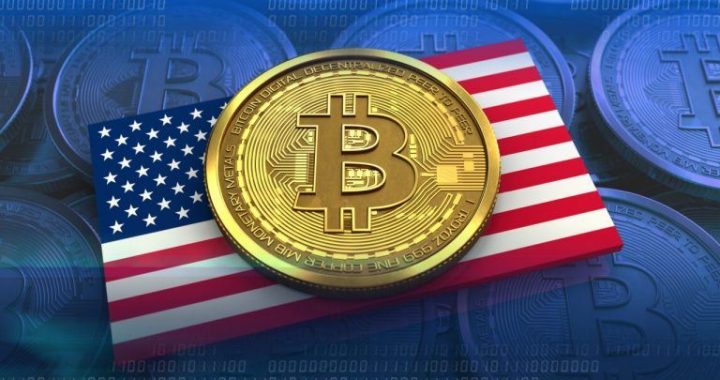 Study: US Leads Global Bitcoin Ownership With 14.3% Adoption Rate
