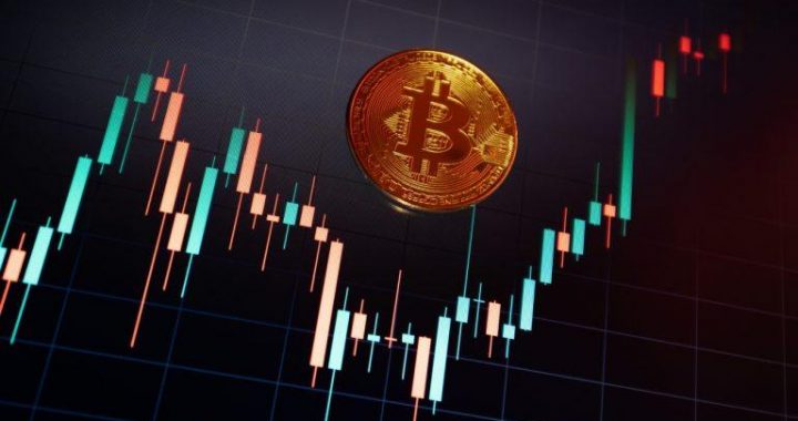 Blackrock Powers Bitcoin ETF Gains Despite Big Outflows From Rivals