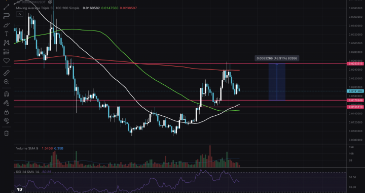 BONK Getting Ready for Next Leg Up: Latest TA Insights