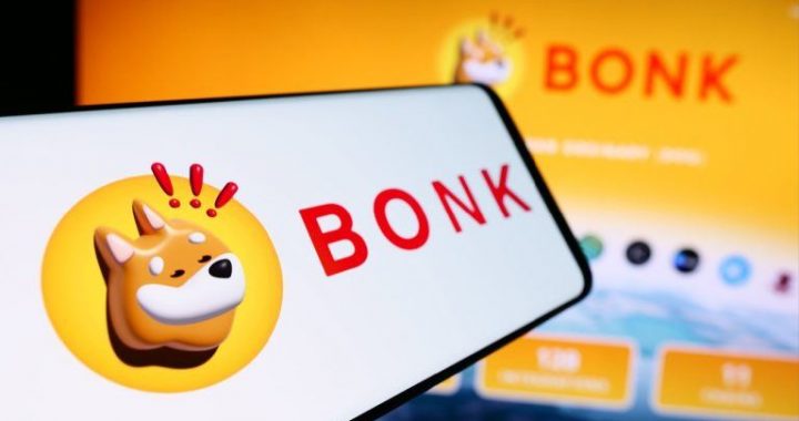 Solana Treasury Company DeFi Development Corp. Partners With BONK Memecoin to Launch Validator Node