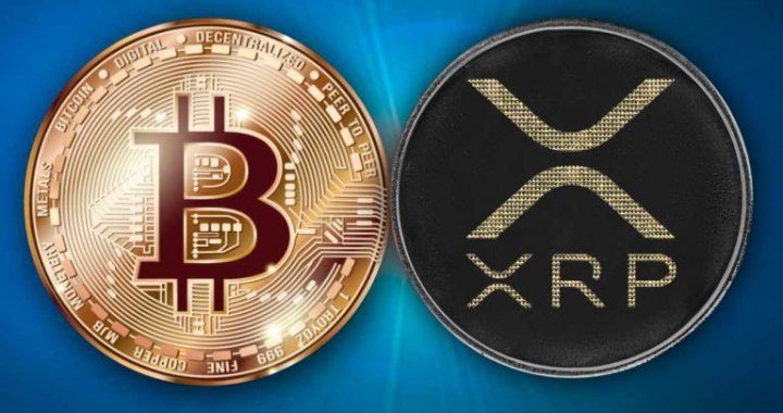 Ripple Donates ‘Skull of Satoshi’ — Says BTC and XRP Aren’t So Different