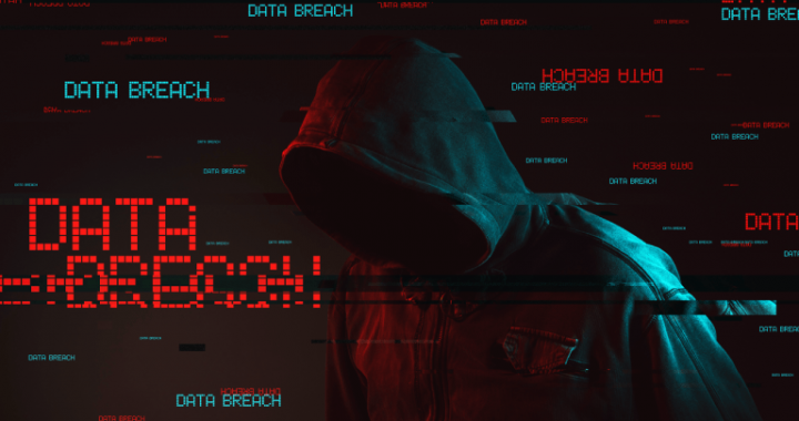 DeFi Platform Cork Protocol Suffers $12M Exploit, Markets Paused