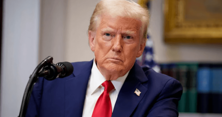 Polymarket Bettors Put 56% Odds on Trump Eliminating Capital Gains Tax