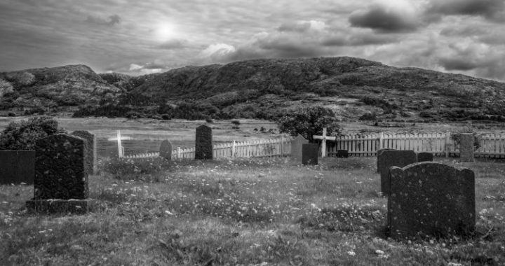 Crypto Graveyard: 50% Of Tokens Have Failed In the Past 5 years – Report