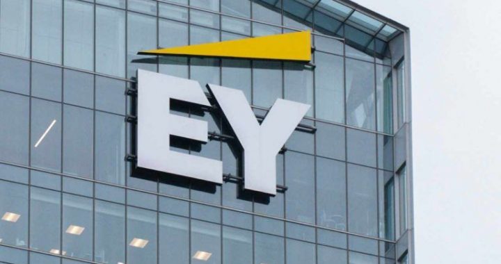 SEC’s Crypto Task Force Gets Crucial Input From EY
